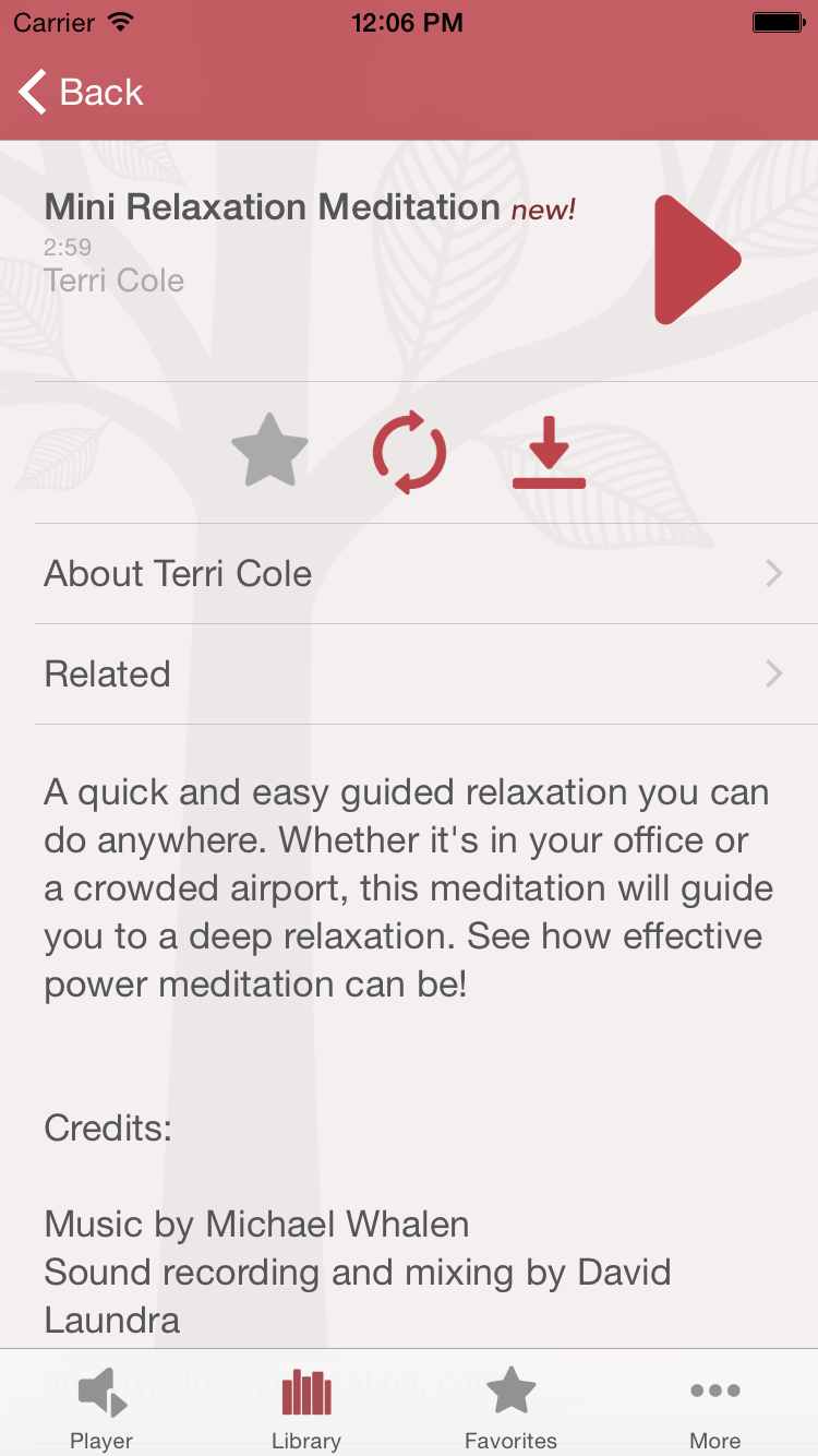 Guided Mind screenshot