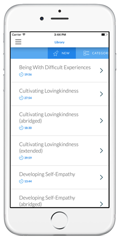 Bodhi Mind screenshot